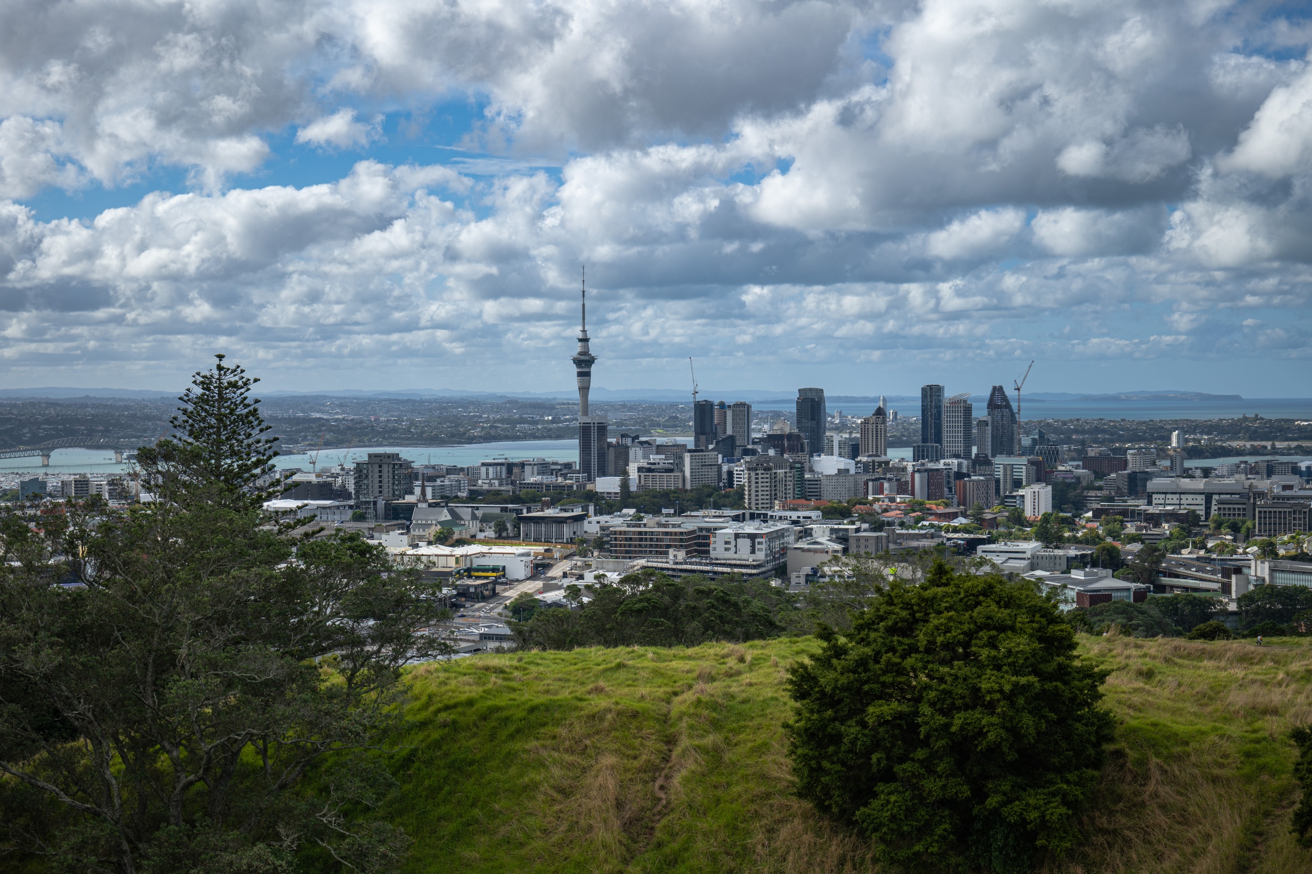 Que faire à Auckland : notre top 5 des immanquables !