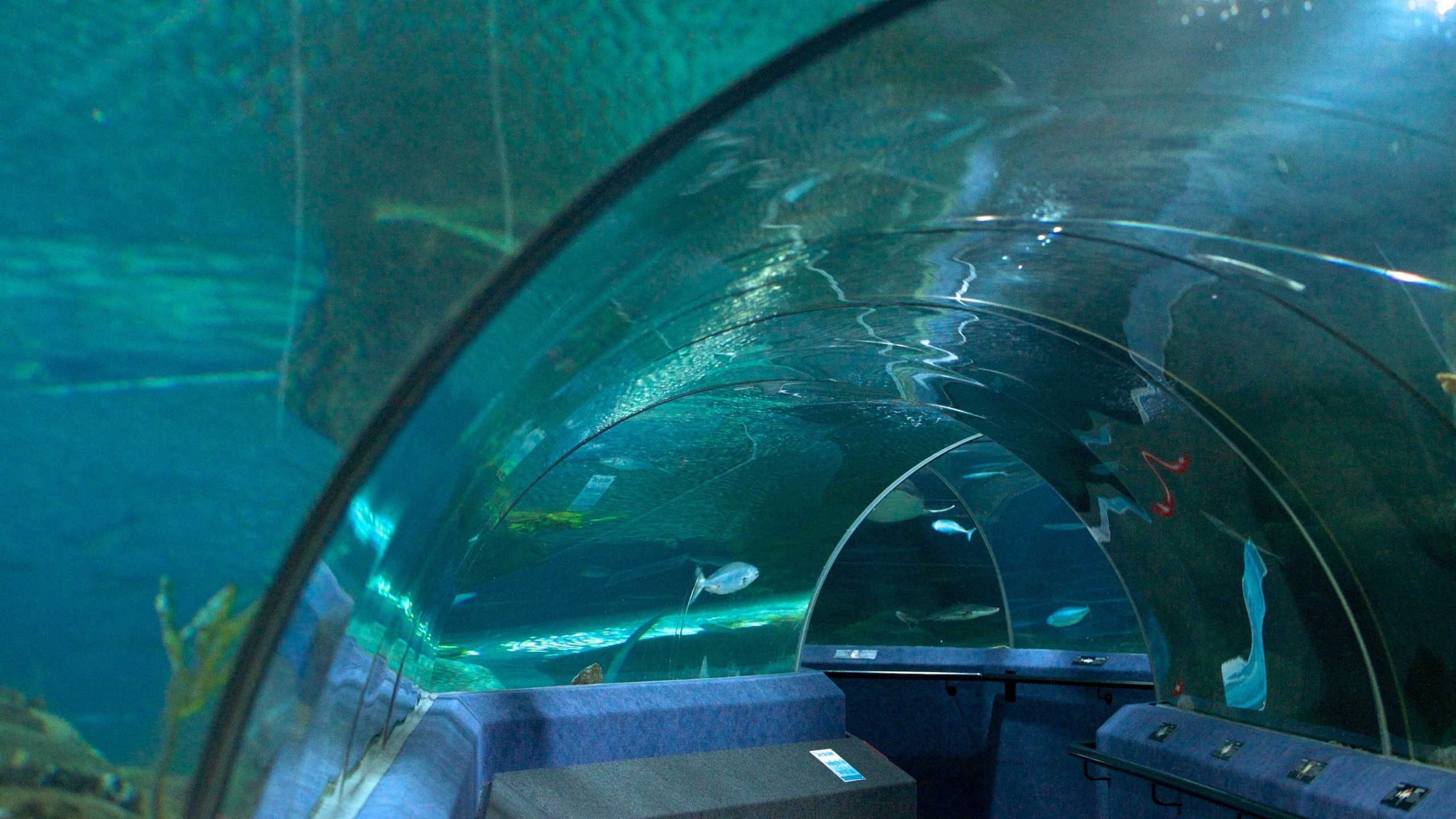 Que faire à Napier : visiter l'aquarium national de Nouvelle-Zélande
