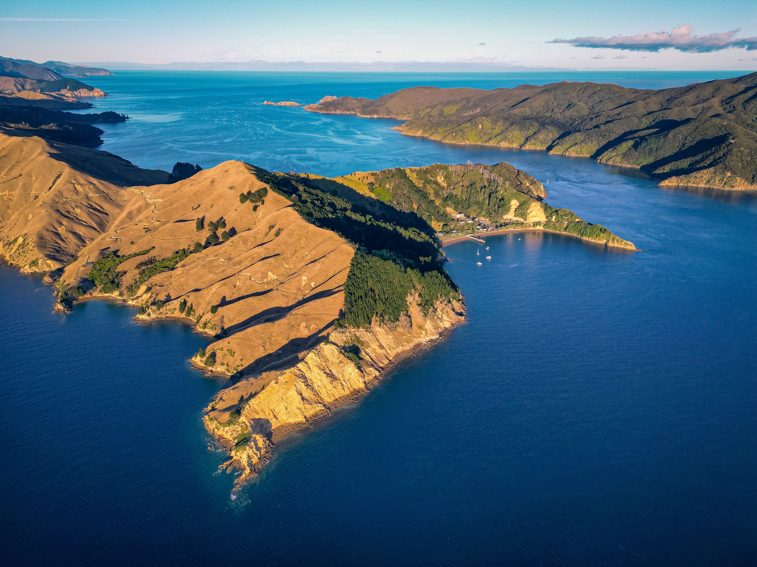 Visiter les Marlborough Sounds en Nouvelle-Zélande - que faire dans les fjords de Marlborough