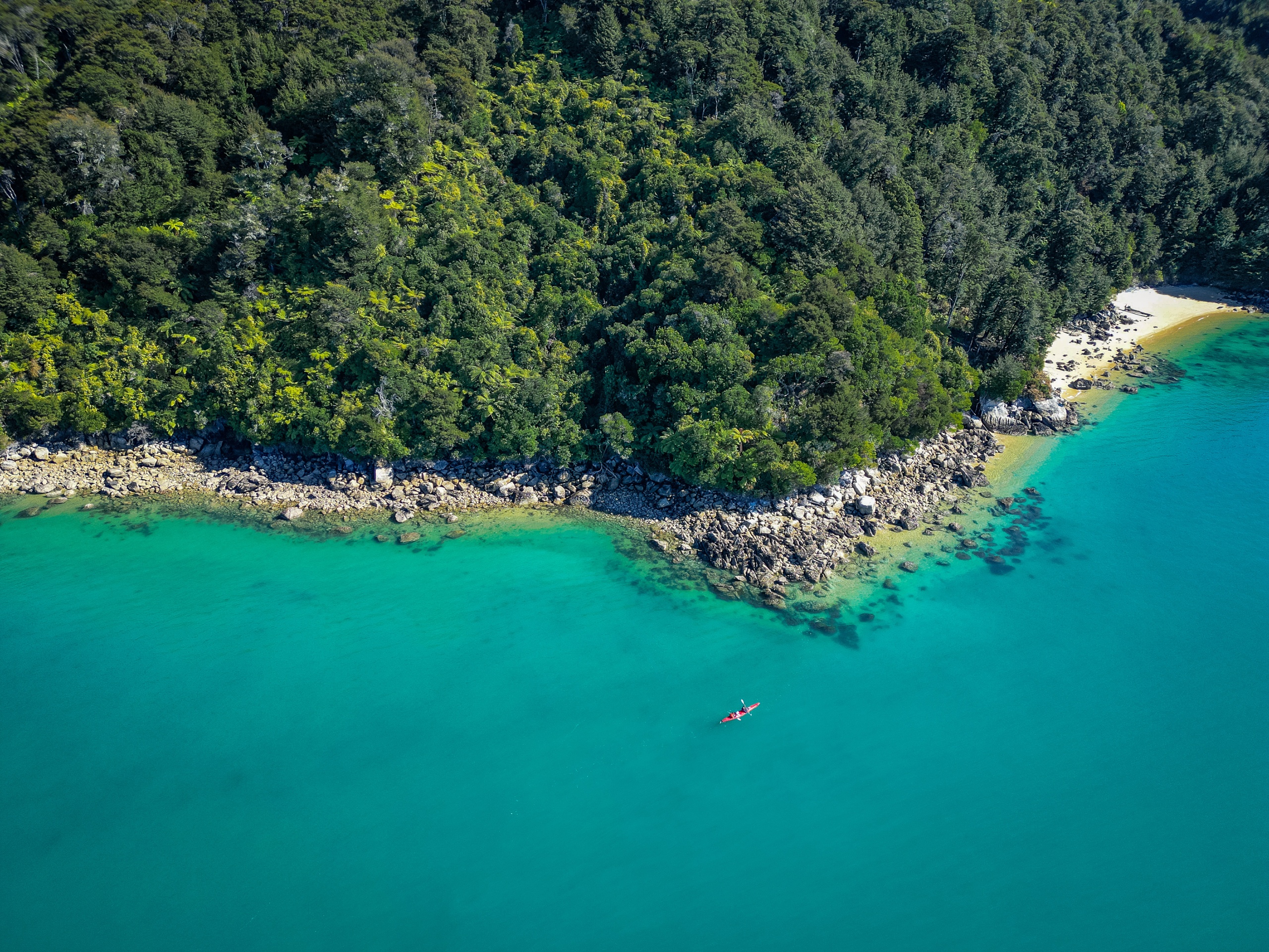 Faire du kayak dans le parc Abel Tasman sur une journée