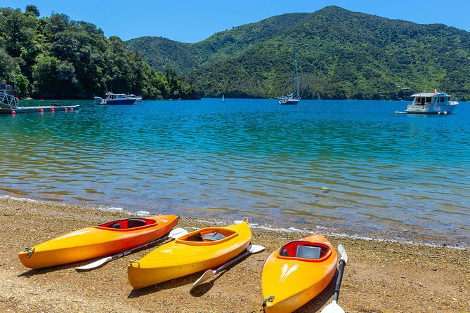 Faire du kayak dans les fjords de Marlborough