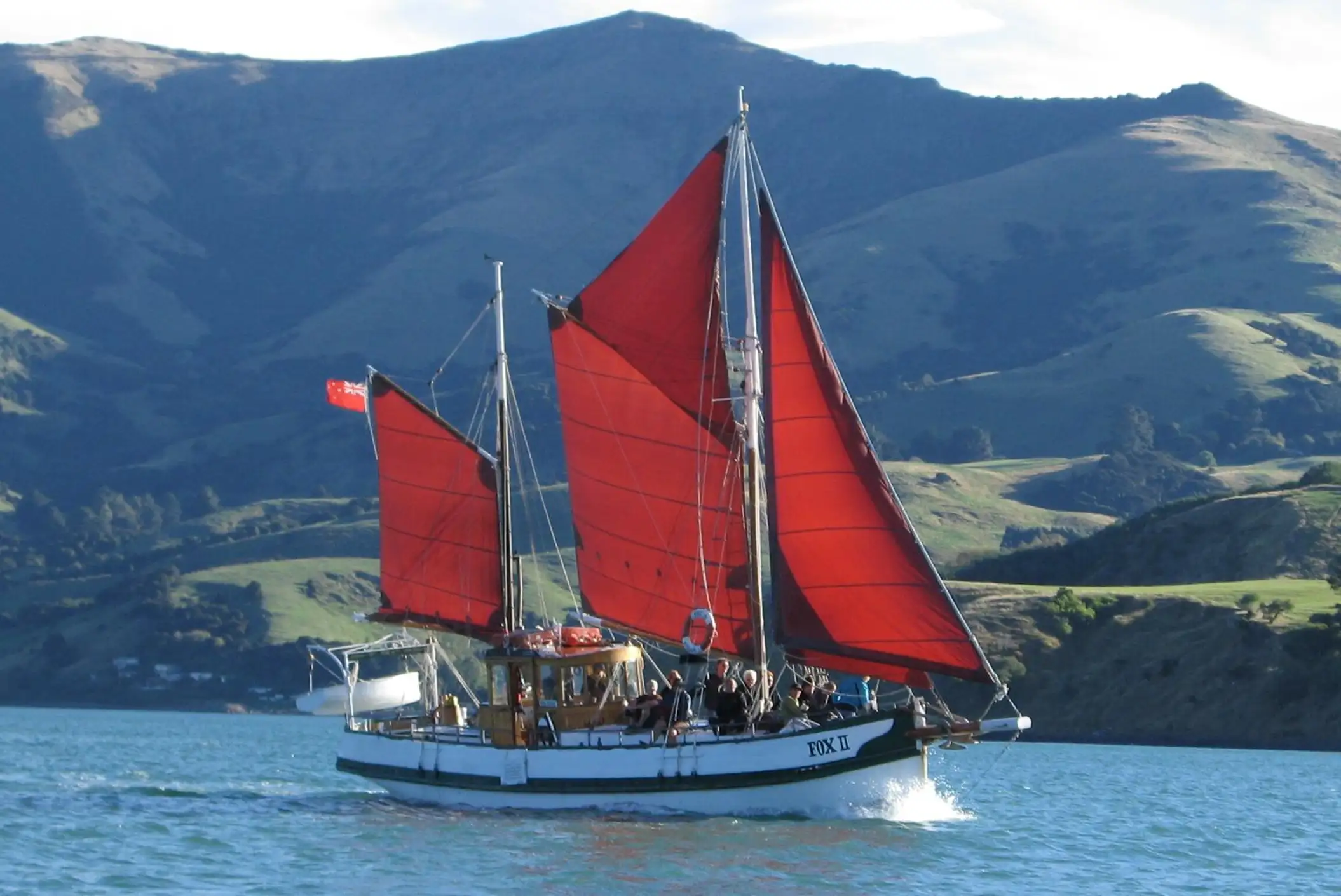 Faire une croisière dans la baie d’Akaroa en Nouvelle-Zélande
