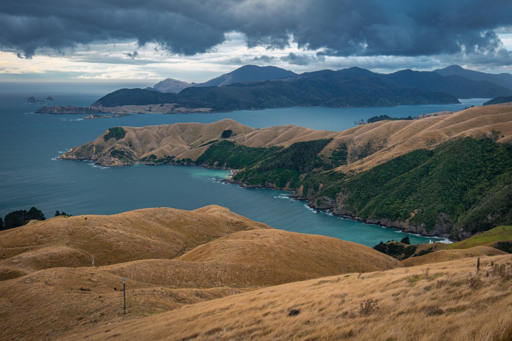 Comment visiter les Marlborough Sounds