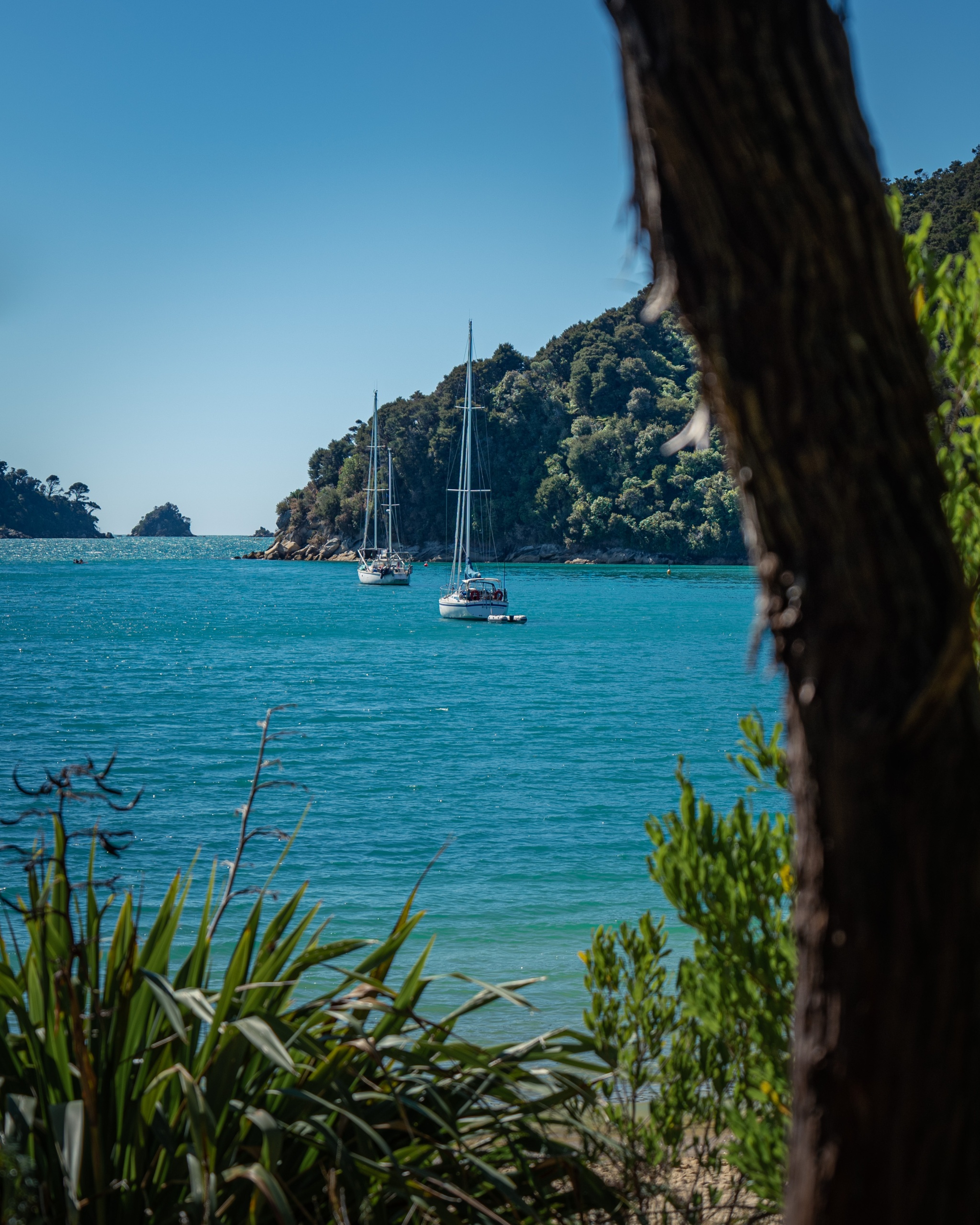 Visiter le parc Abel Tasman en bateau taxi