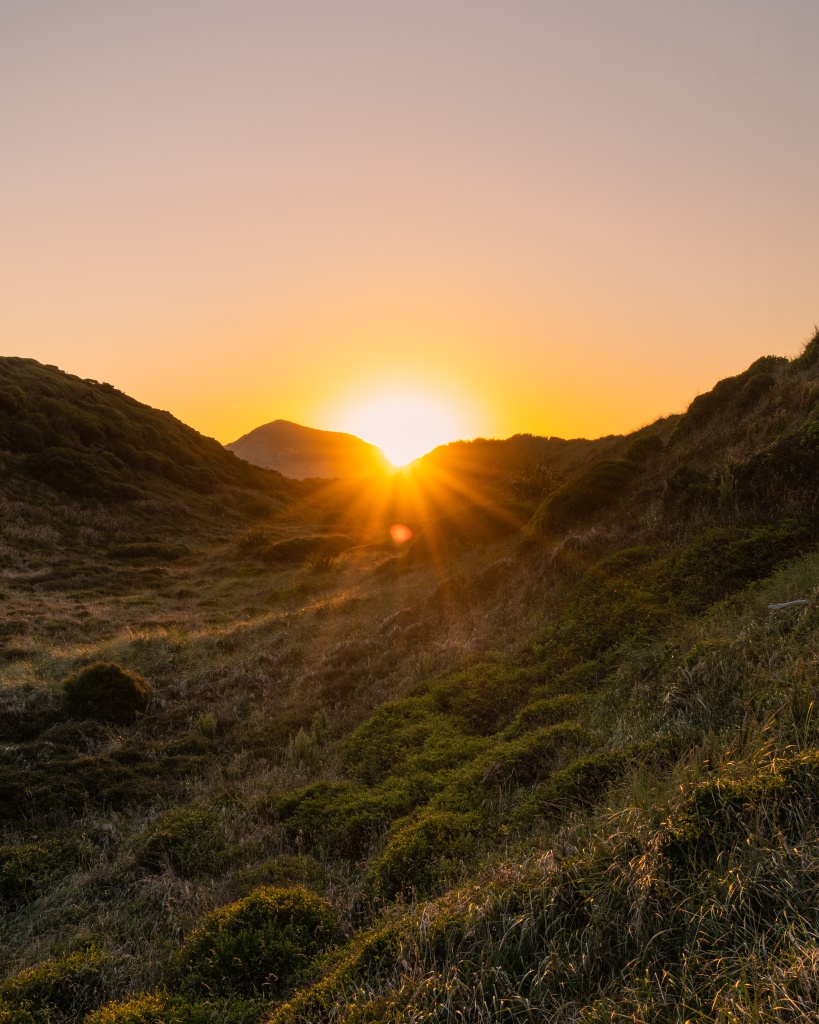 Que faire à Golden Bay en Nouvelle-Zélande : visiter le Cap Farewell