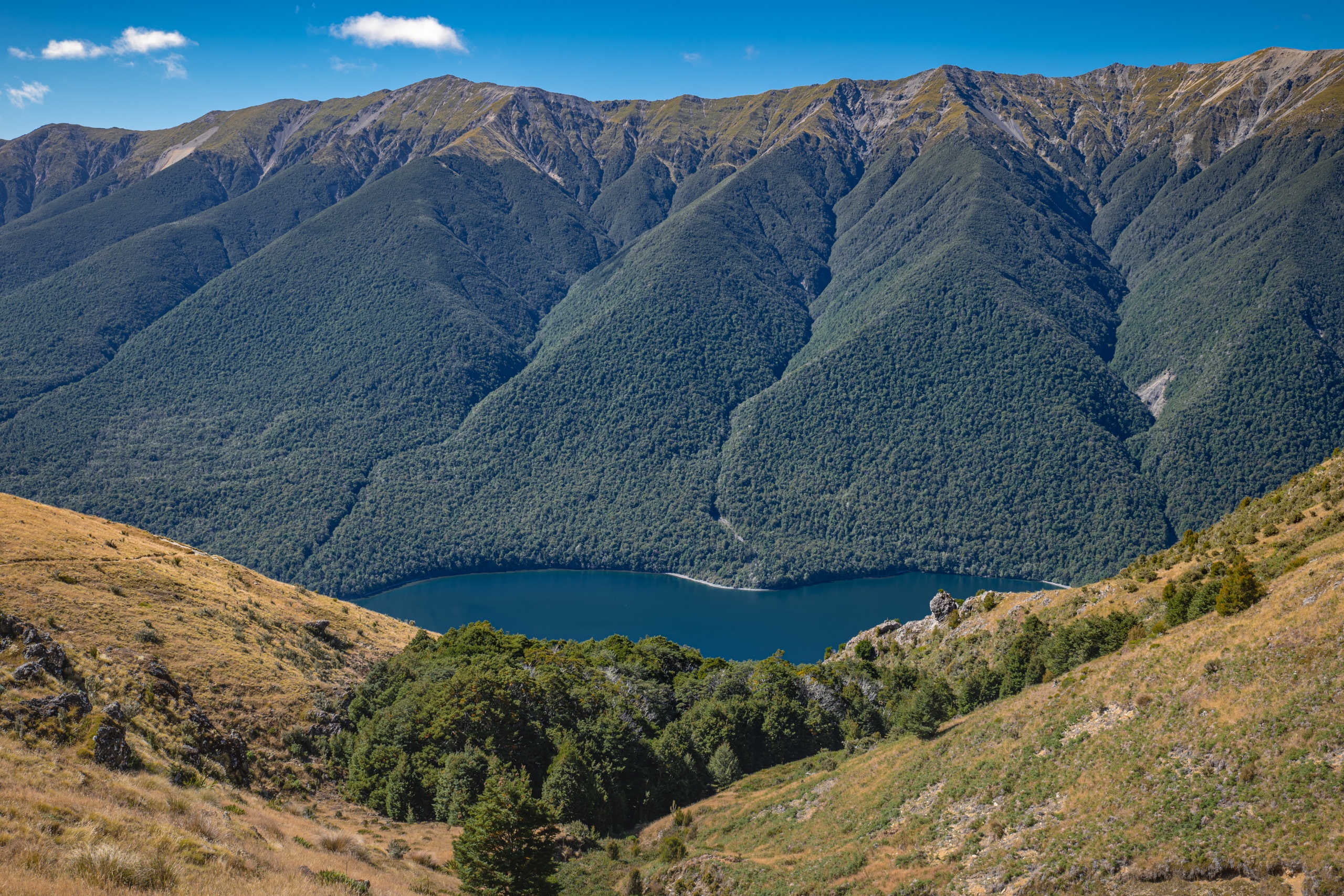 Que faire à Nelson Lakes en Nouvelle-Zélande