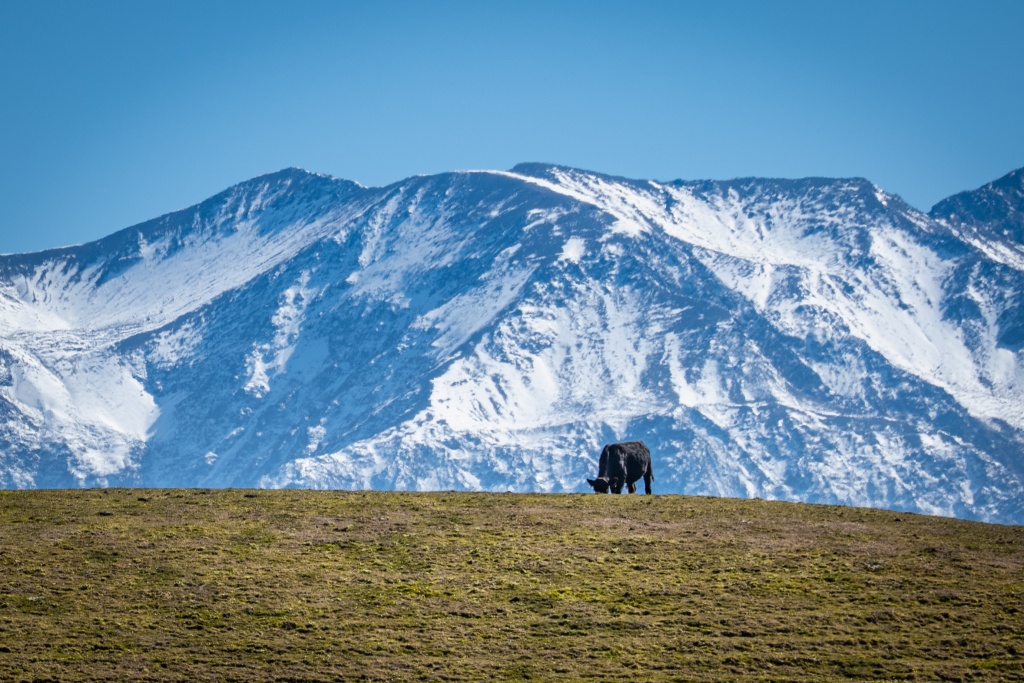 Activités à Kaikoura : randonnée de la Kaikoura Peninsula Walkway