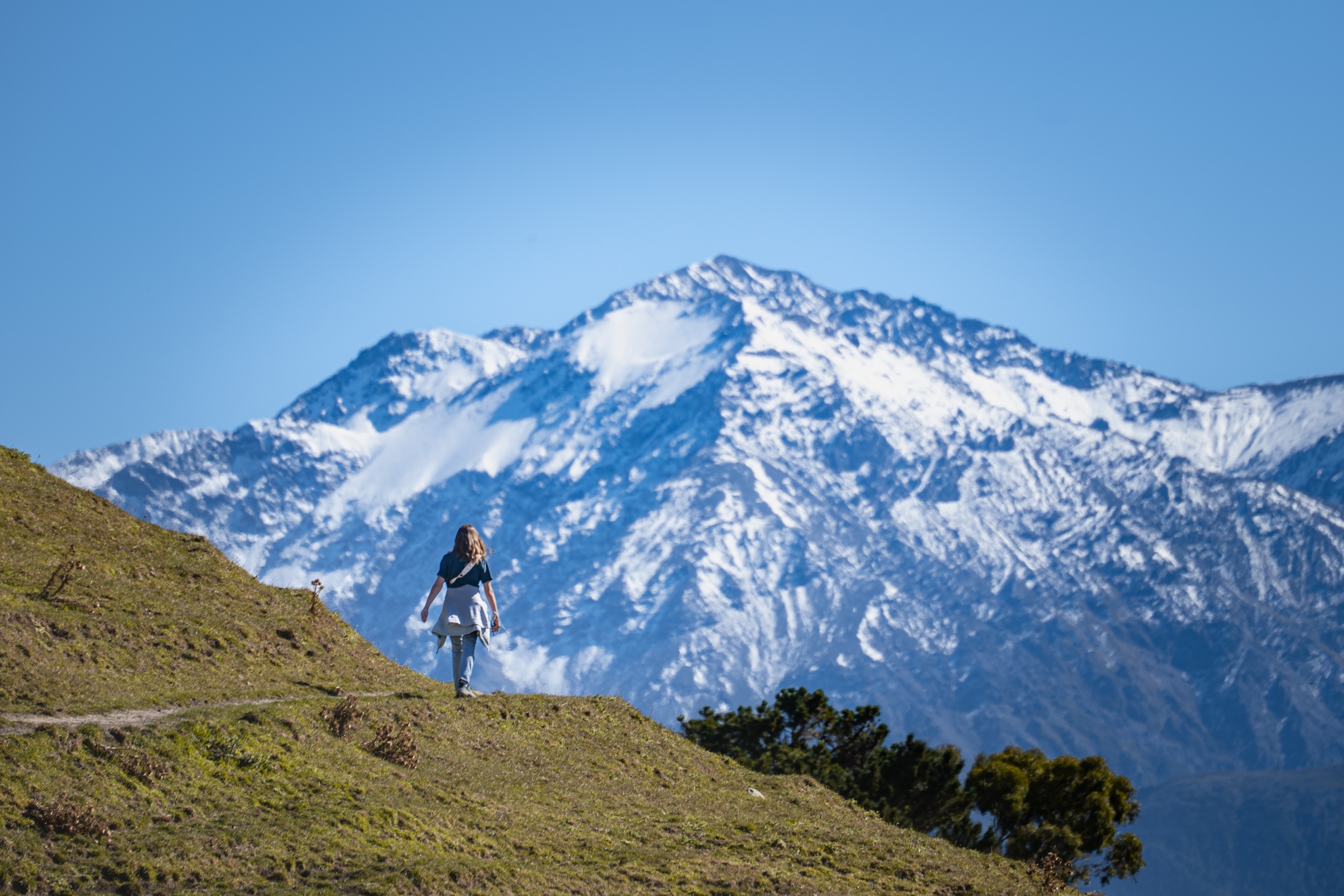 Que faire à Kaikoura : faire la Kaikoura Peninsula Walkway