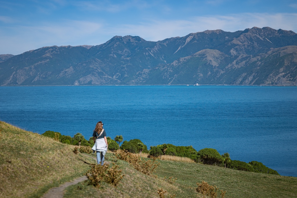 Que faire à Kaikoura en Nouvelle-Zélande : faire la Kaikoura Peninsula Walkway