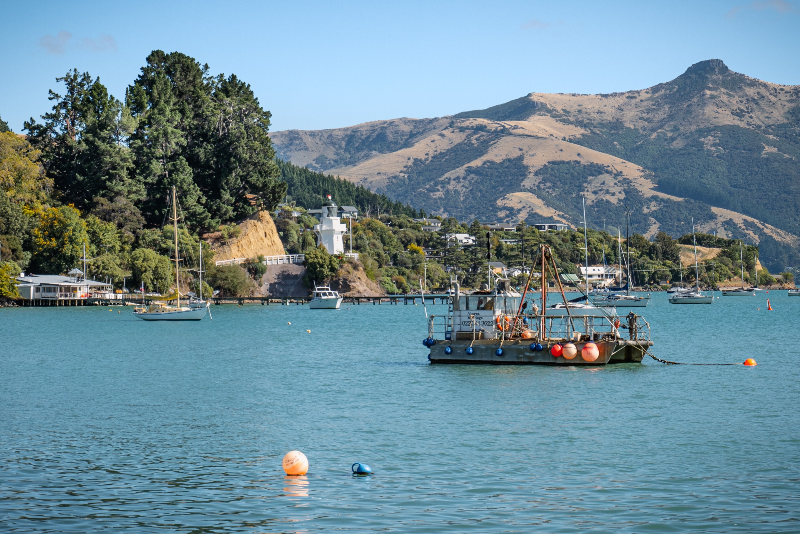 Que faire à Akaroa sur la péninsule de Banks
