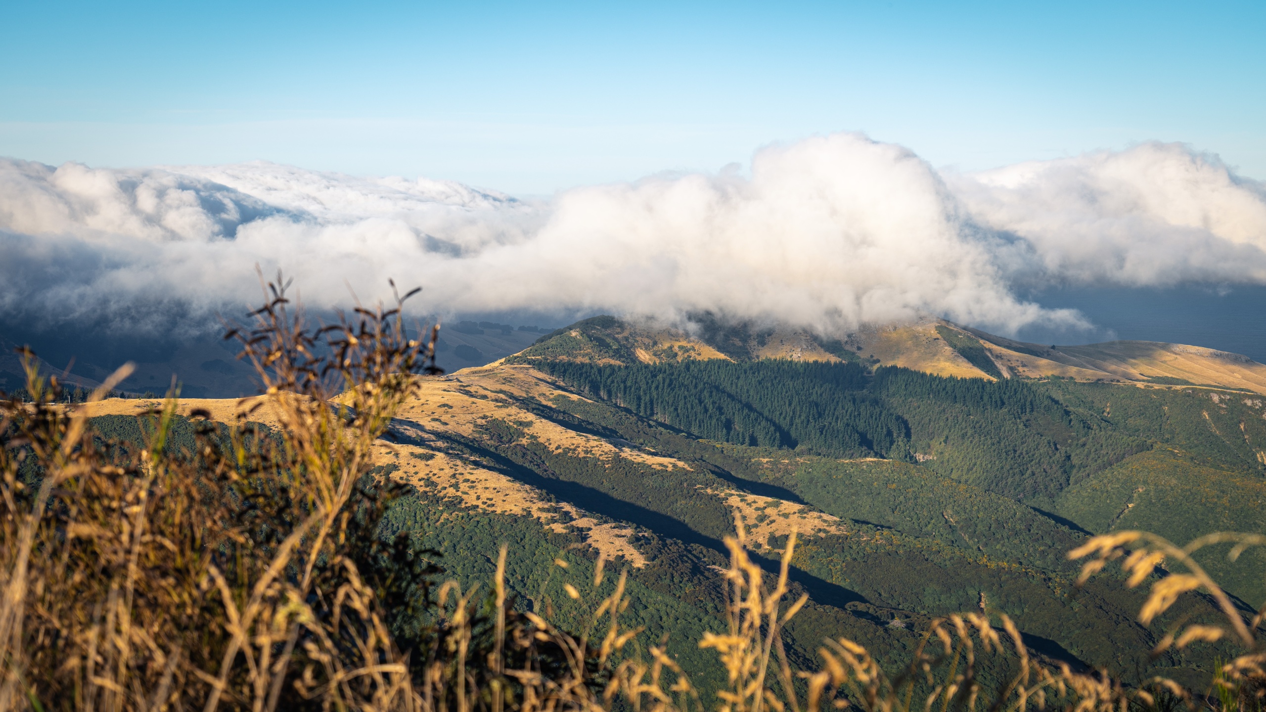 Faire de la randonnée sur la péninsule de Banks en Nouvelle-Zélande