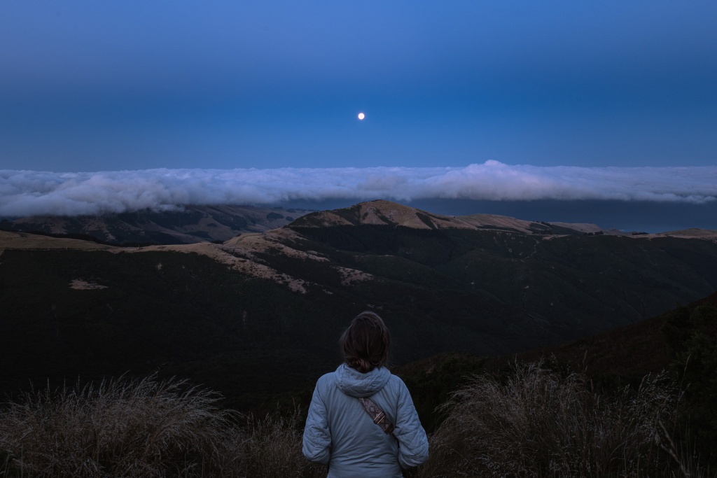 Visiter Christchurch en Nouvelle-Zélande : faire de la randonnée sur la péninsule de Banks