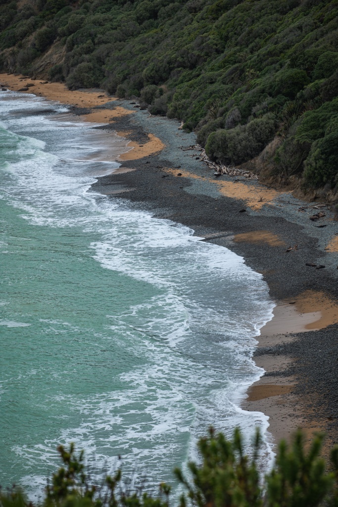 Ou voir les pingouins en Nouvelle-Zélande : Bushy beach à Oamaru