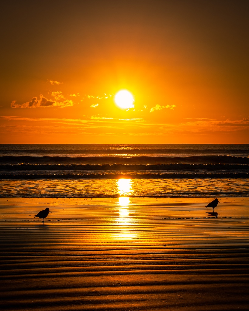 Voir les Moeraki Boulders en Nouvelle-Zélande