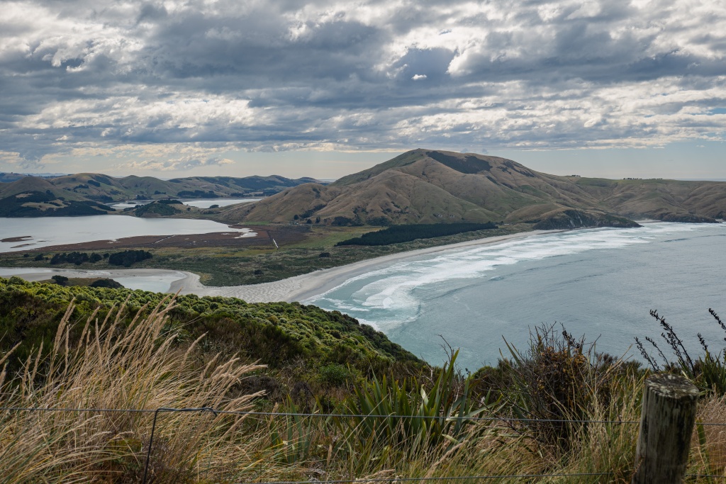 Que faire à Dunedin en Nouvelle-Zélande : randonnée sur la péninsule d'Otago