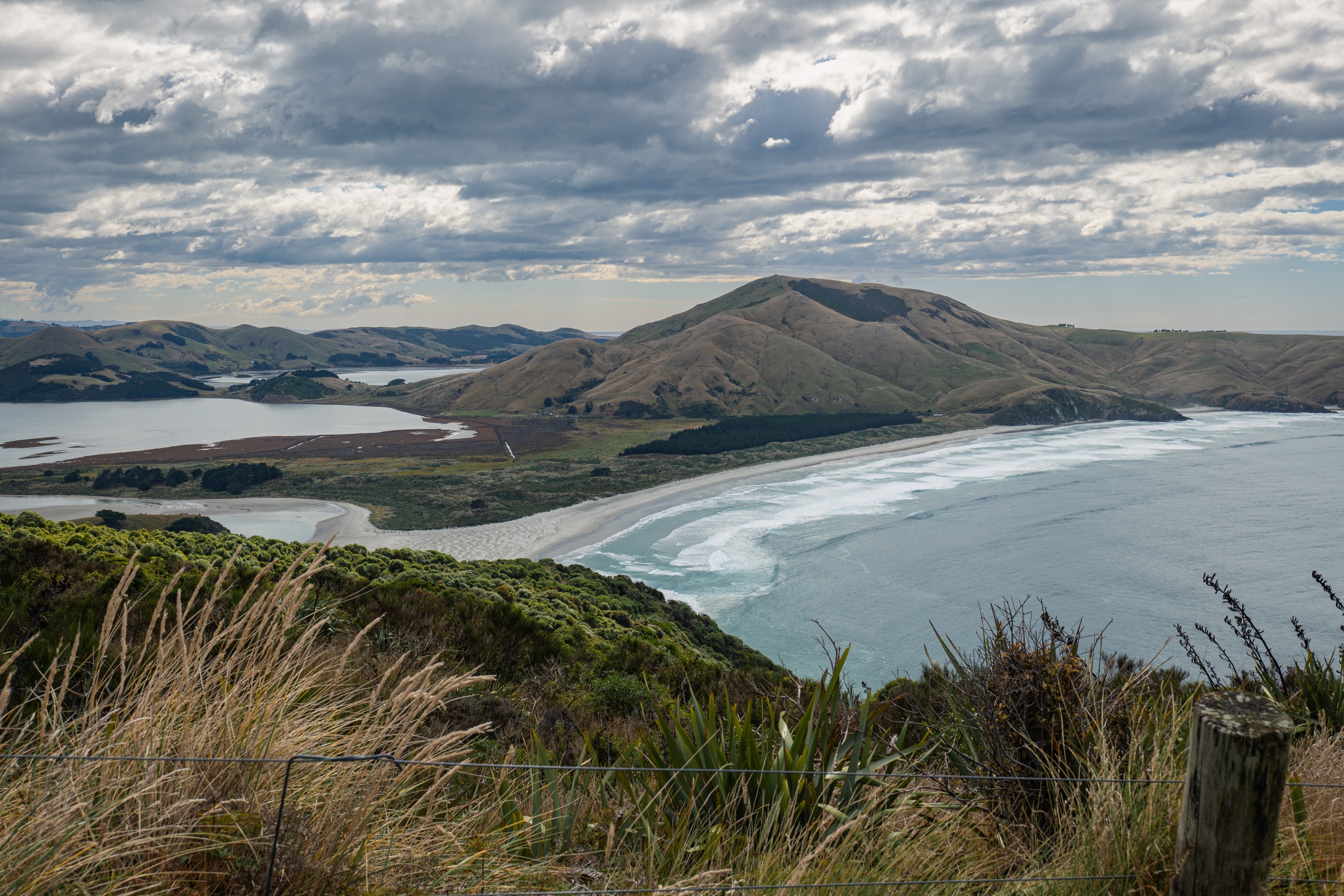 Que faire à Dunedin en Nouvelle-Zélande : randonnée sur la péninsule d'Otago