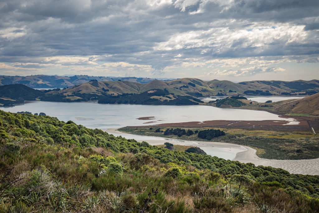Que faire à Dunedin en Nouvelle-Zélande : découvrir la péninsule d'Otago