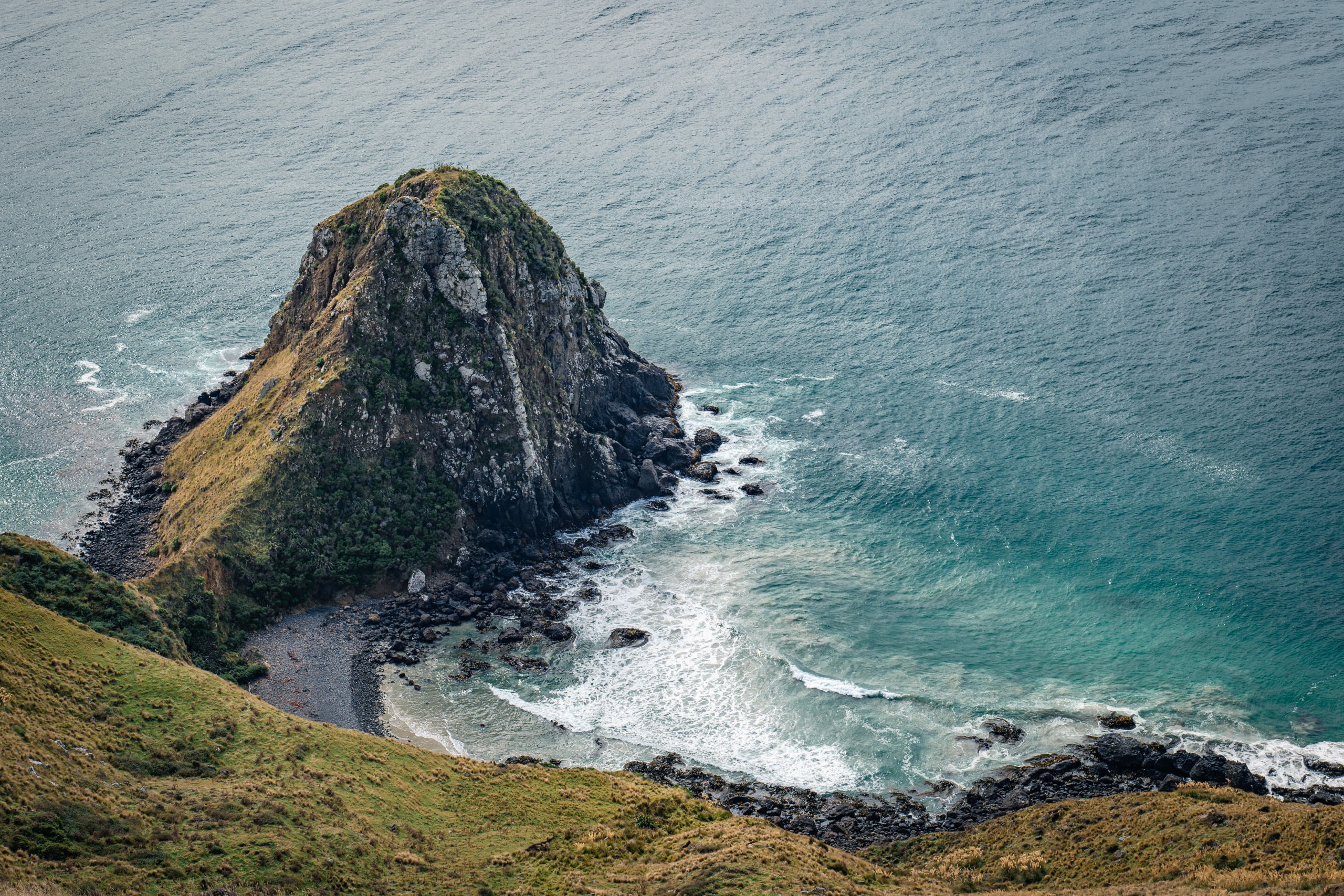 Que faire à Dunedin : découvrir la péninsule d'Otago