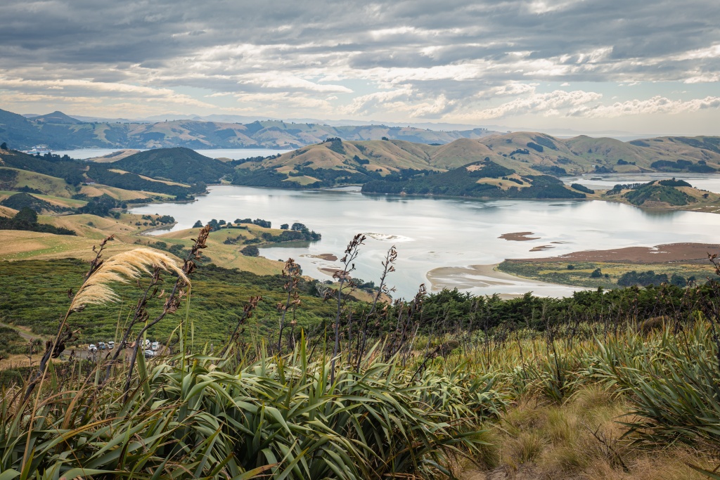 Activités à Dunedin : randonnée sur la péninsule d'Otago