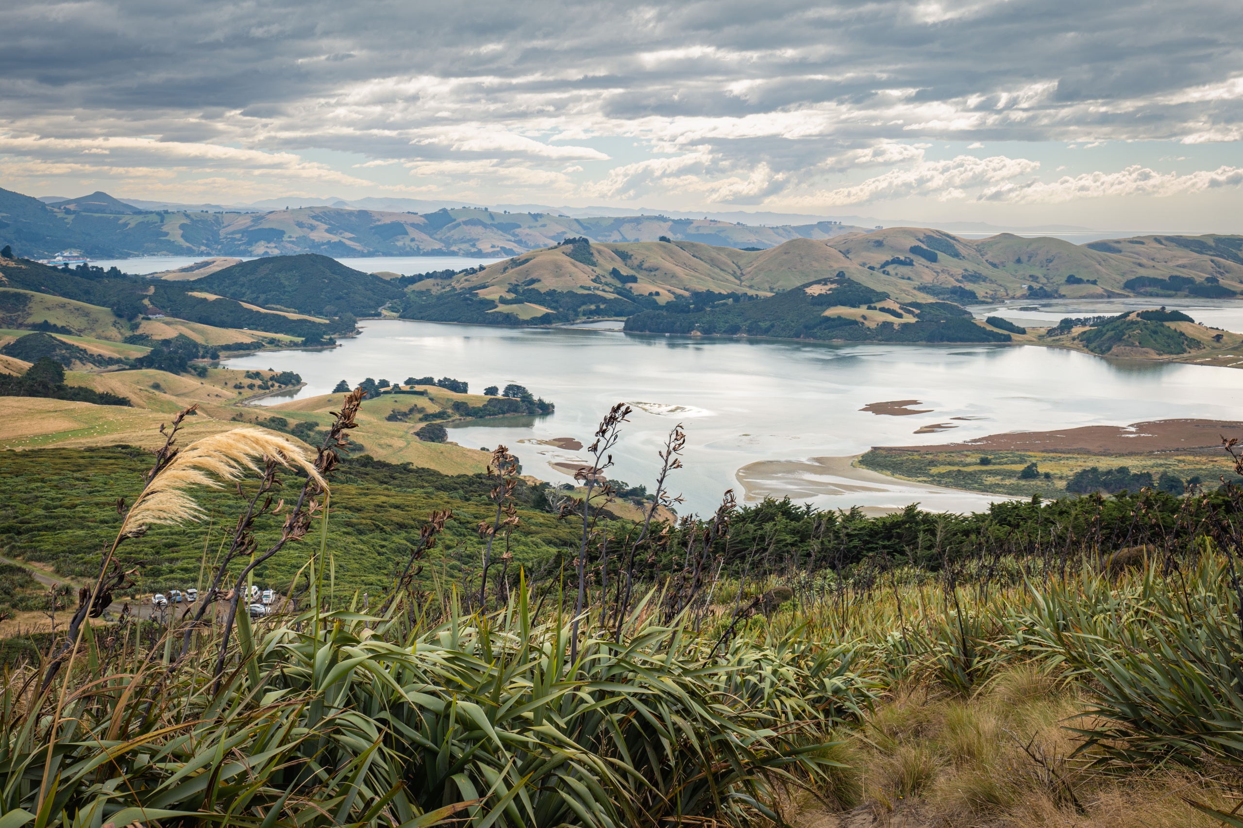 Activités à Dunedin : randonnée sur la péninsule d'Otago