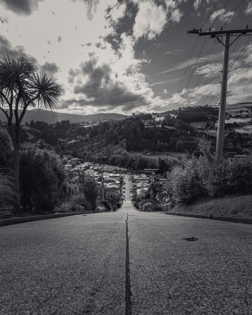 Que faire à Dunedin : voir Baldwin Street, la rue la plus pentue du monde