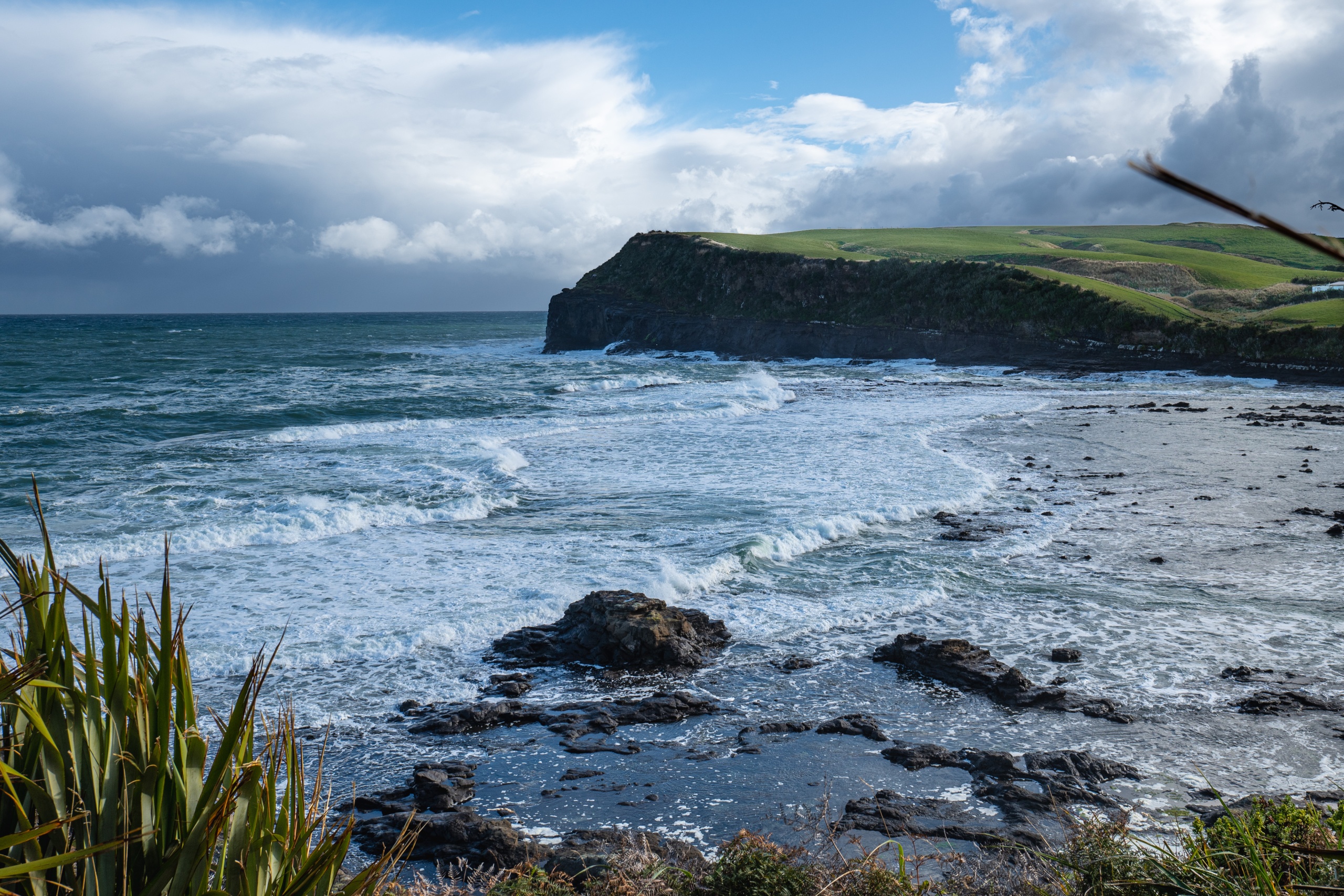 Que faire dans les Catlins : voir Porpoise Bay et Curio Bay