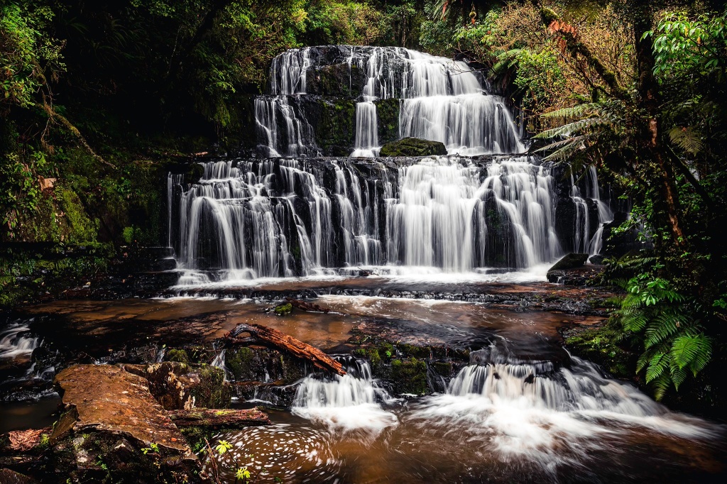 Randonnée dans le Catlins Forest Park en Nouvelle-Zélande