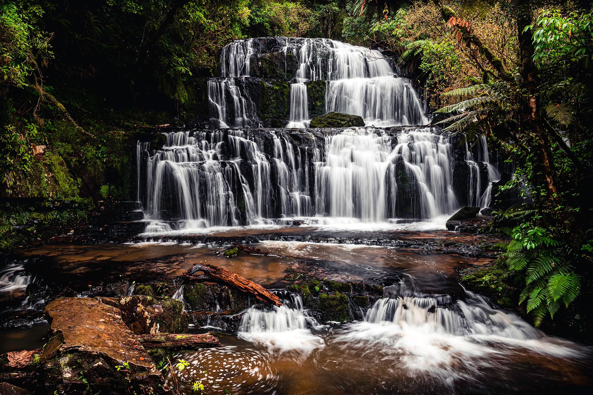 Randonnée dans le Catlins Forest Park en Nouvelle-Zélande