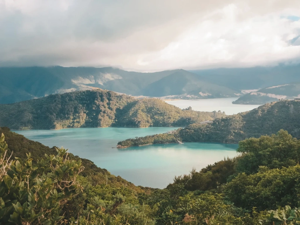 Faire la randonnée du Queen Charlotte Track dans les fjords de Marlborough