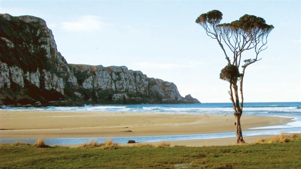 Road trip dans les Catlins : voir Purakaunui Bay