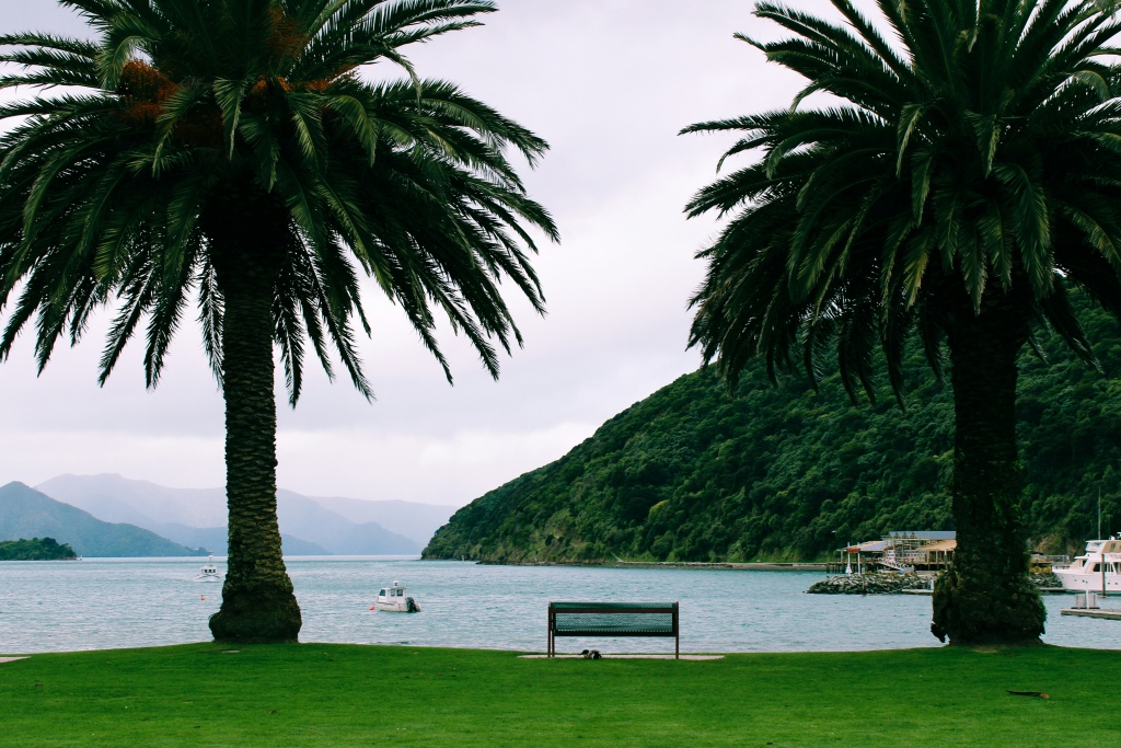 Que faire dans les Marlborough Sounds : visiter Picton en Nouvelle-Zélande