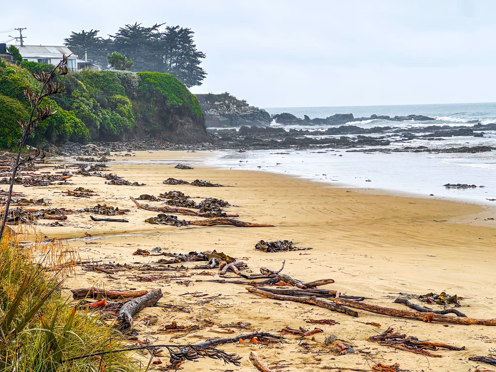 Visiter kaka point beach : itinéraire dans les Catlins en Nouvelle-Zélande