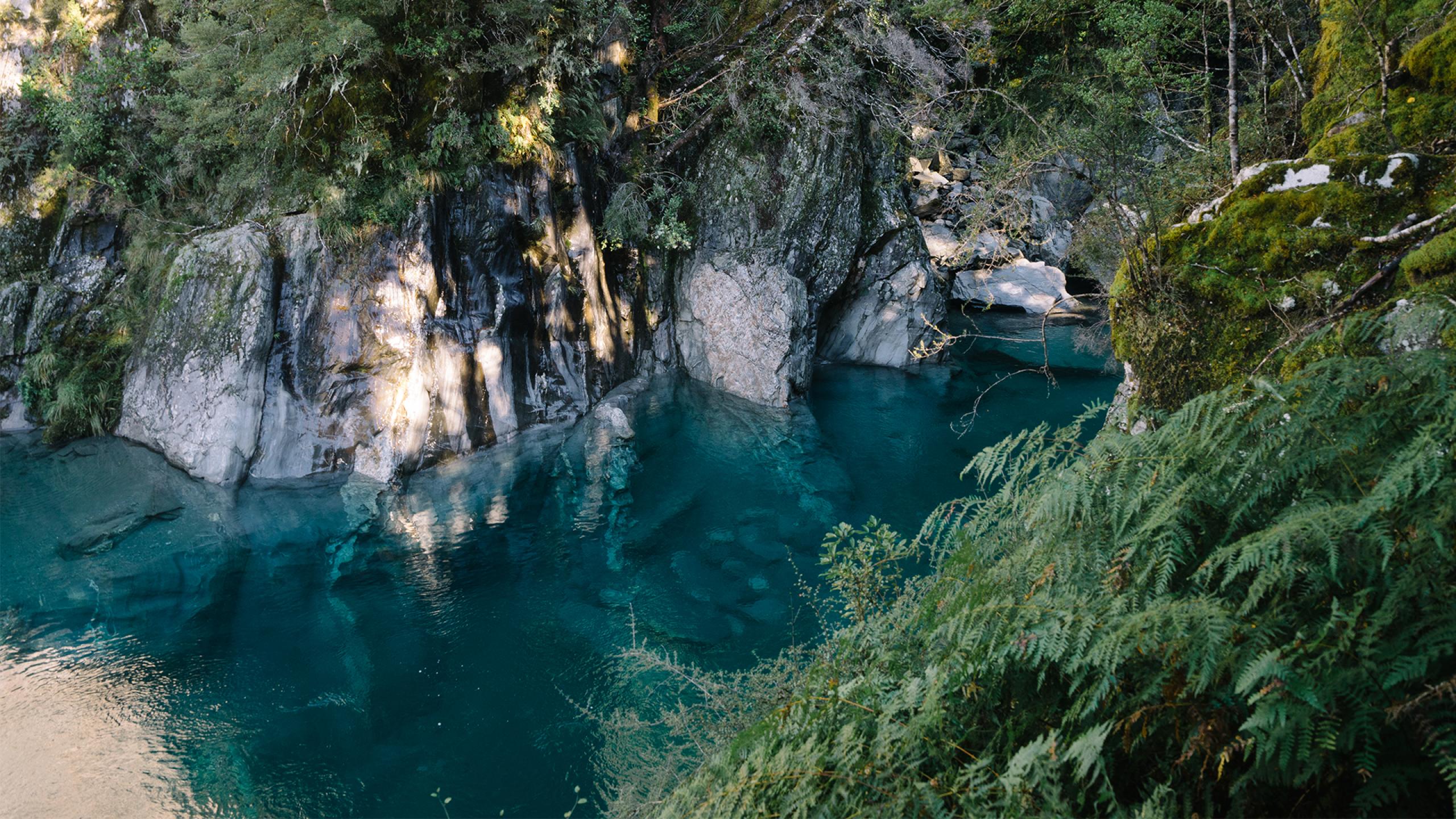 Itinéraire sur la côte ouest en Nouvelle-Zélande : découvrir les Blue pools à Wanaka