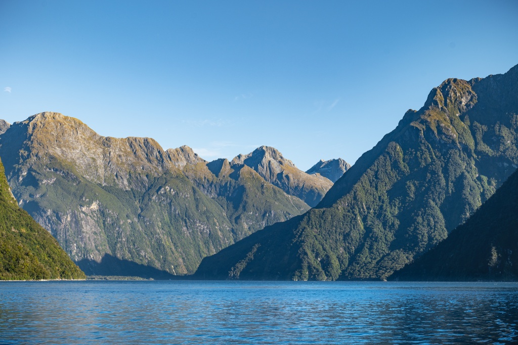Que faire à Milford Sound : faire une croisière dans le fjord