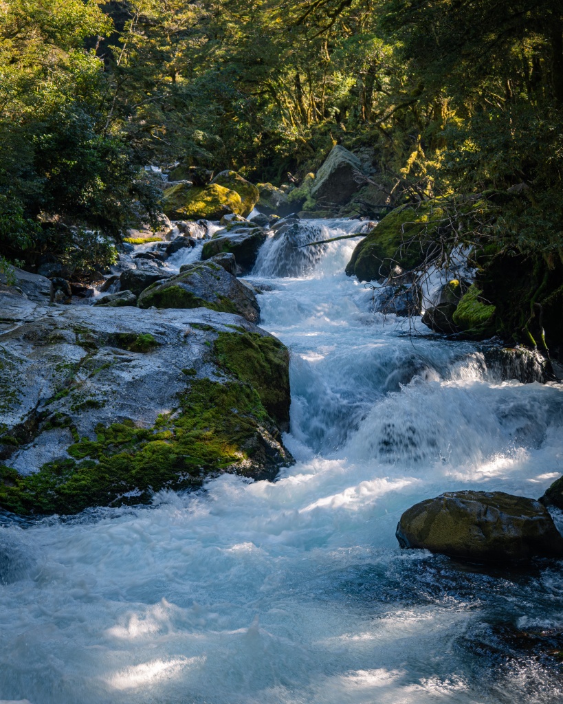 Que faire à Milford Sound en Nouvelle-Zélande : randonnée Marian Lake