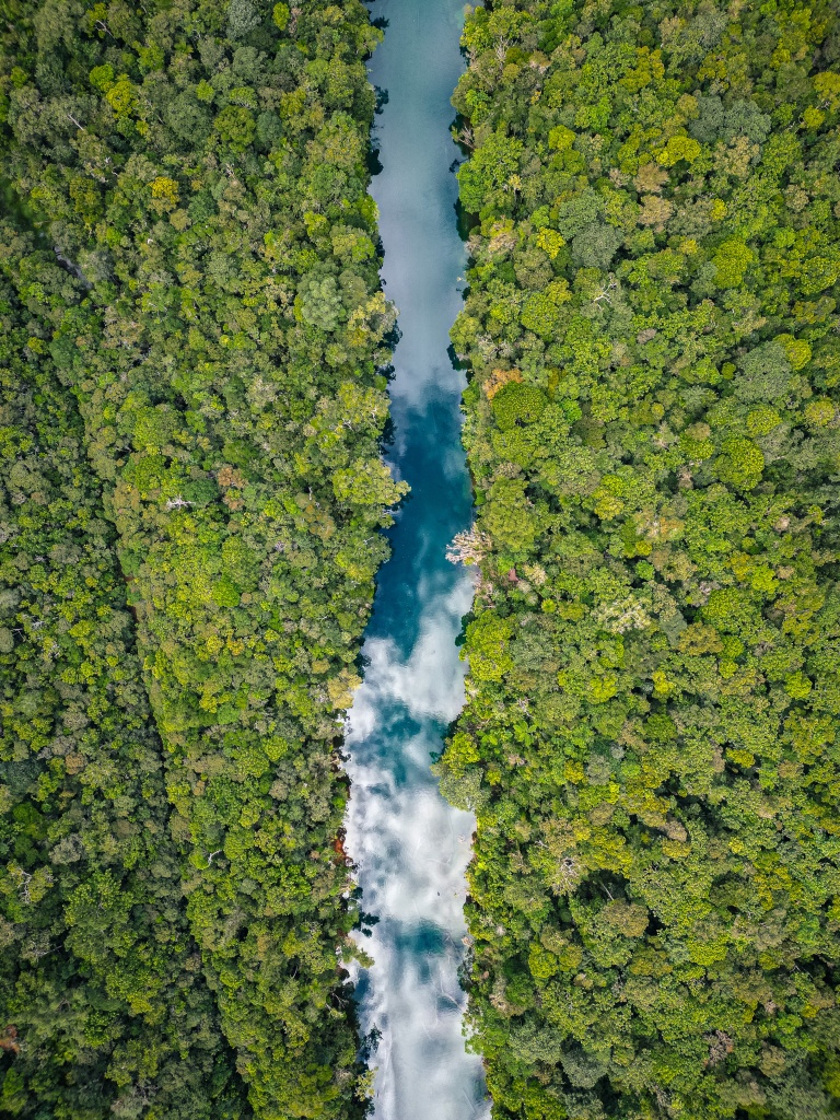 Visiter le parc de la rivière bleueu en Nouvelle-Calédonie : randonnées dans le parc de la rivière bleue