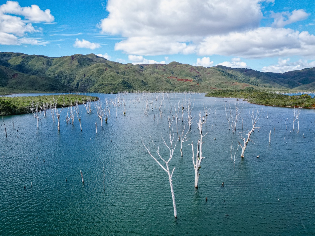 Faire du kayak au cœur de la forêt noyée sur le lac de Yaté en Nouvelle-Calédonie