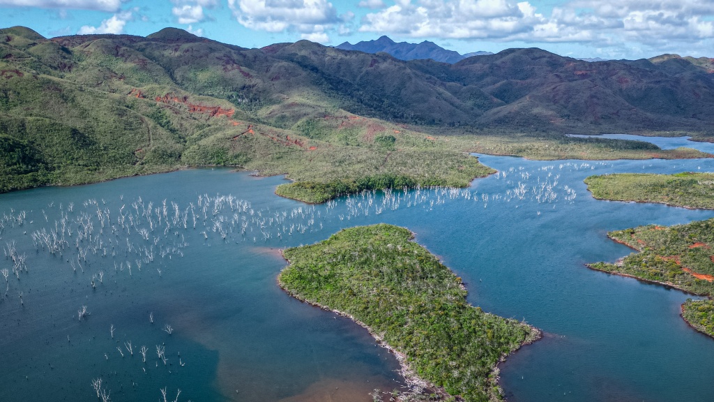 Faire du kayak dans la forêt noyée en Nouvelle-Calédonie