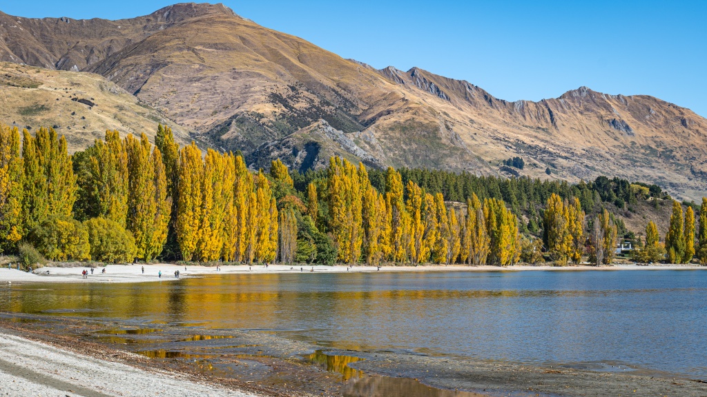 Que faire au lac Wanaka