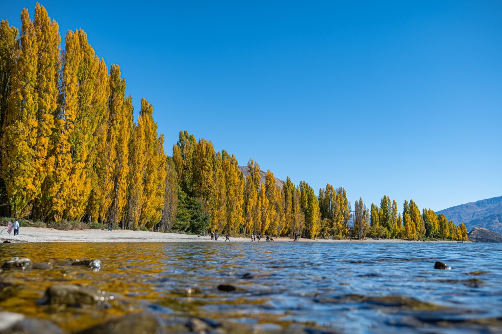 Activités à Wanaka : se promener au bord du lac Wanaka