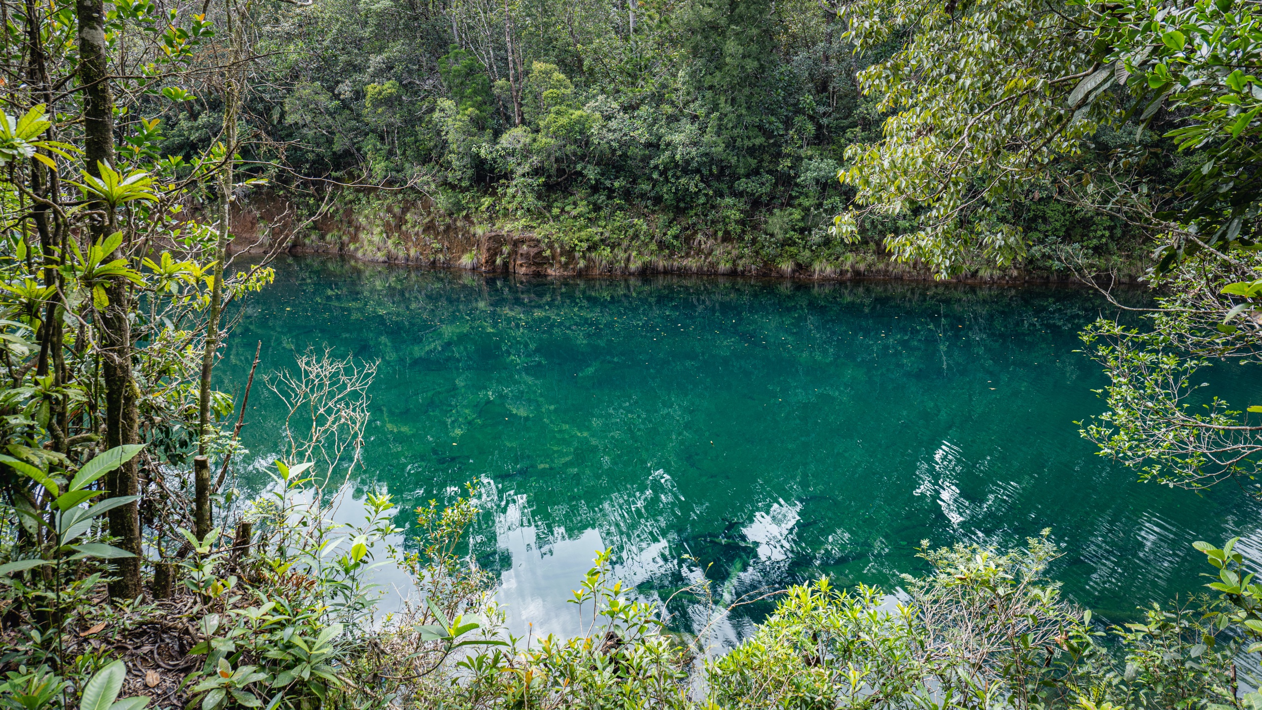 Les randonnées dans le parc de la Rivière Bleue