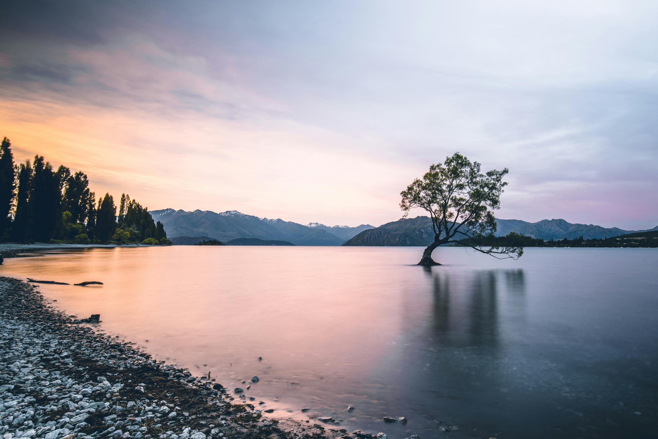 Voir le Wanaka tree sur le lac Wanaka