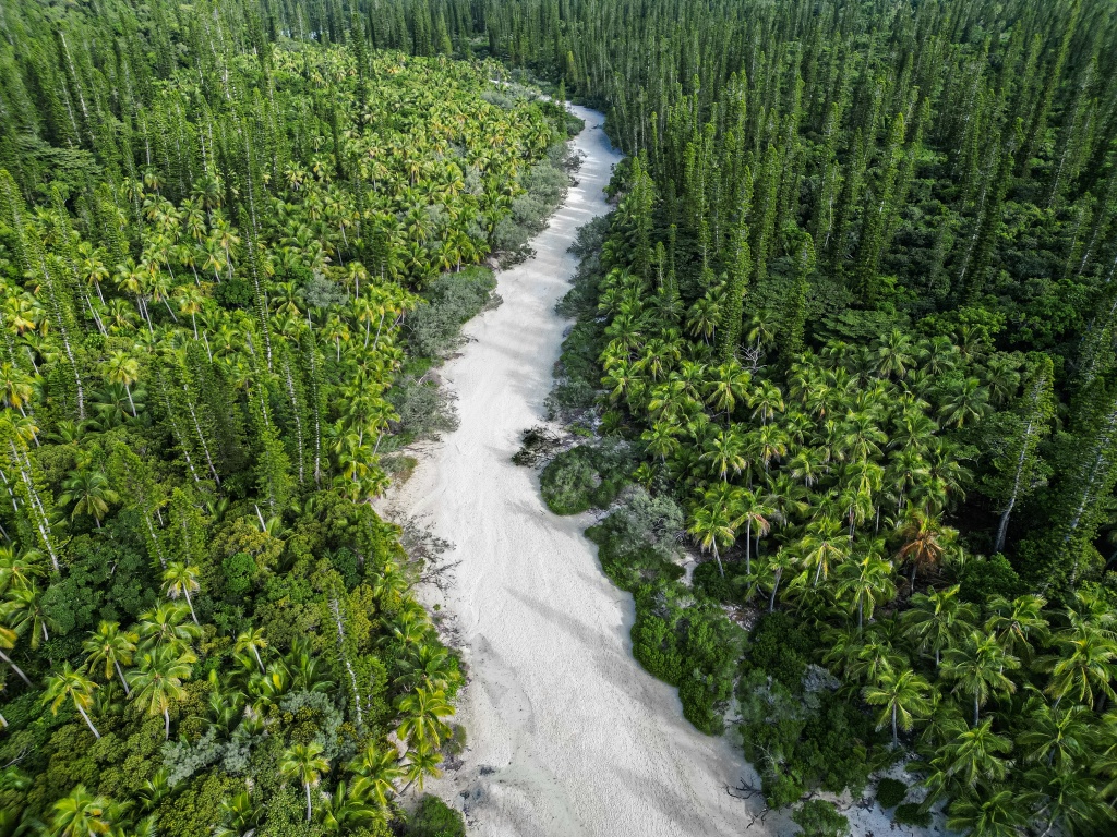 Visiter l'île des pins : voir la piscine naturelle de l'île des pins