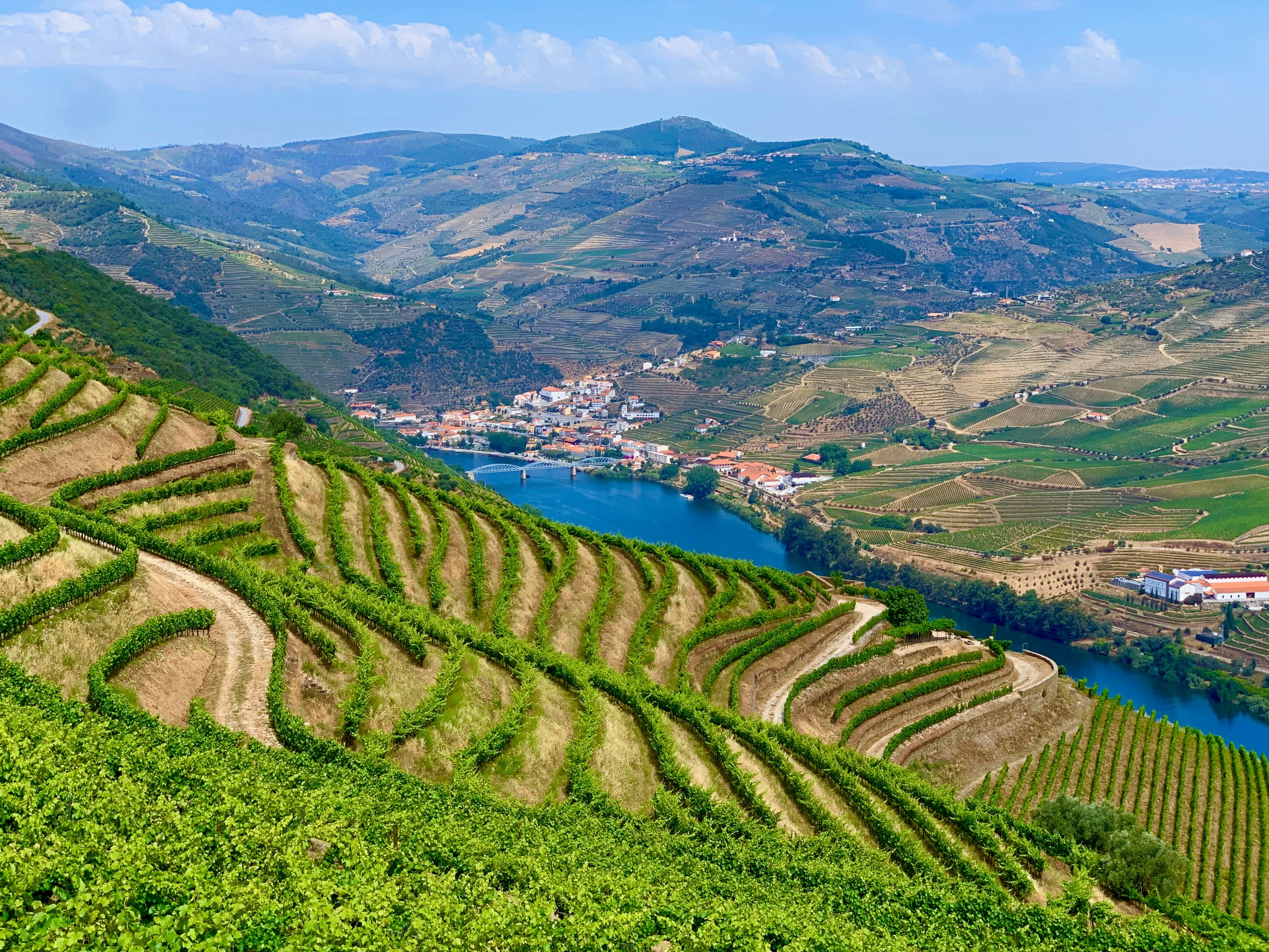 Faire une excursion depuis Porto dans la vallée du Douro