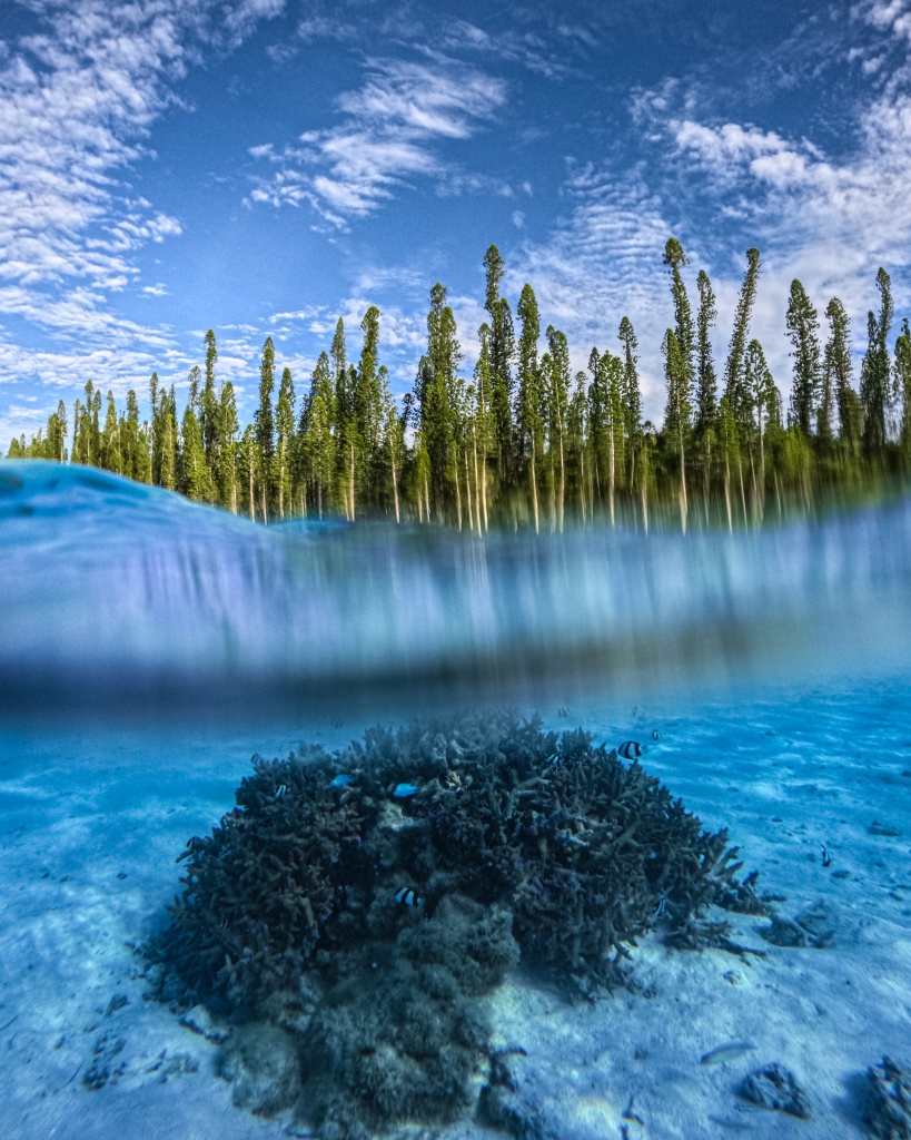Incontournable à l'île des pins : se baigner dans la piscine naturelle de la baie d'Oro