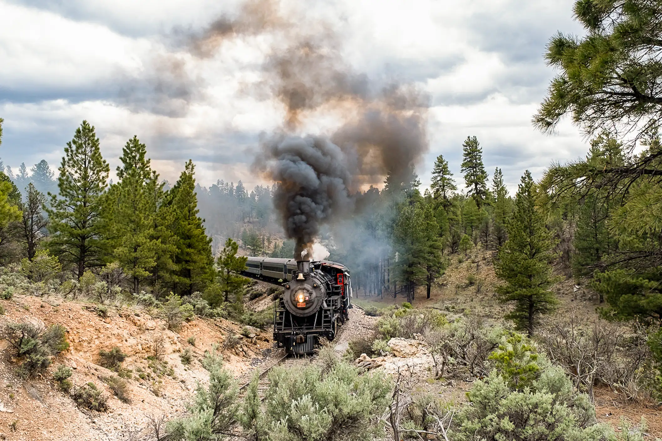 Prendre le Grand Canyon Railway depuis Williams