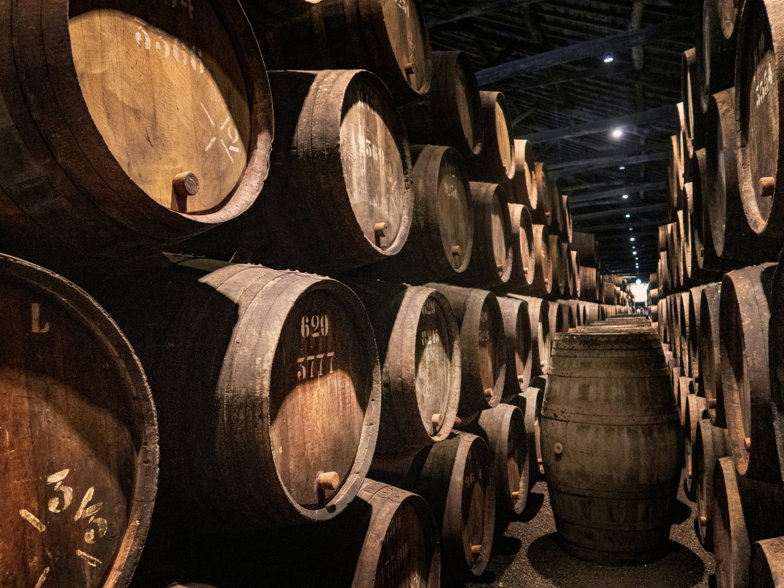 Visiter une cave de vin de Porto à Vila Nova de Gaia